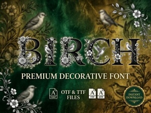 Birch Font Design Trends and Creative Uses